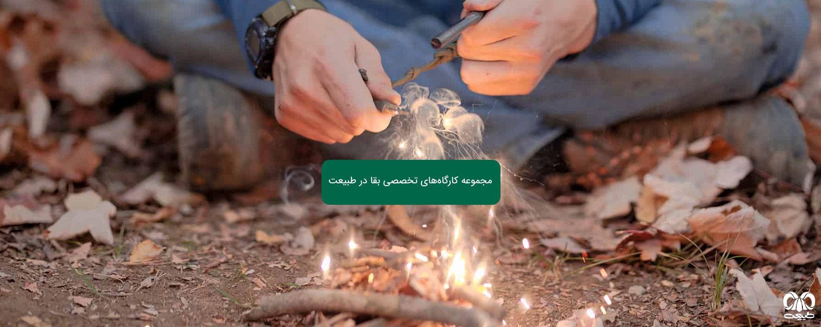 دوره بقا درجنگل